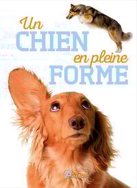Artémis - Un Chien en pleine forme