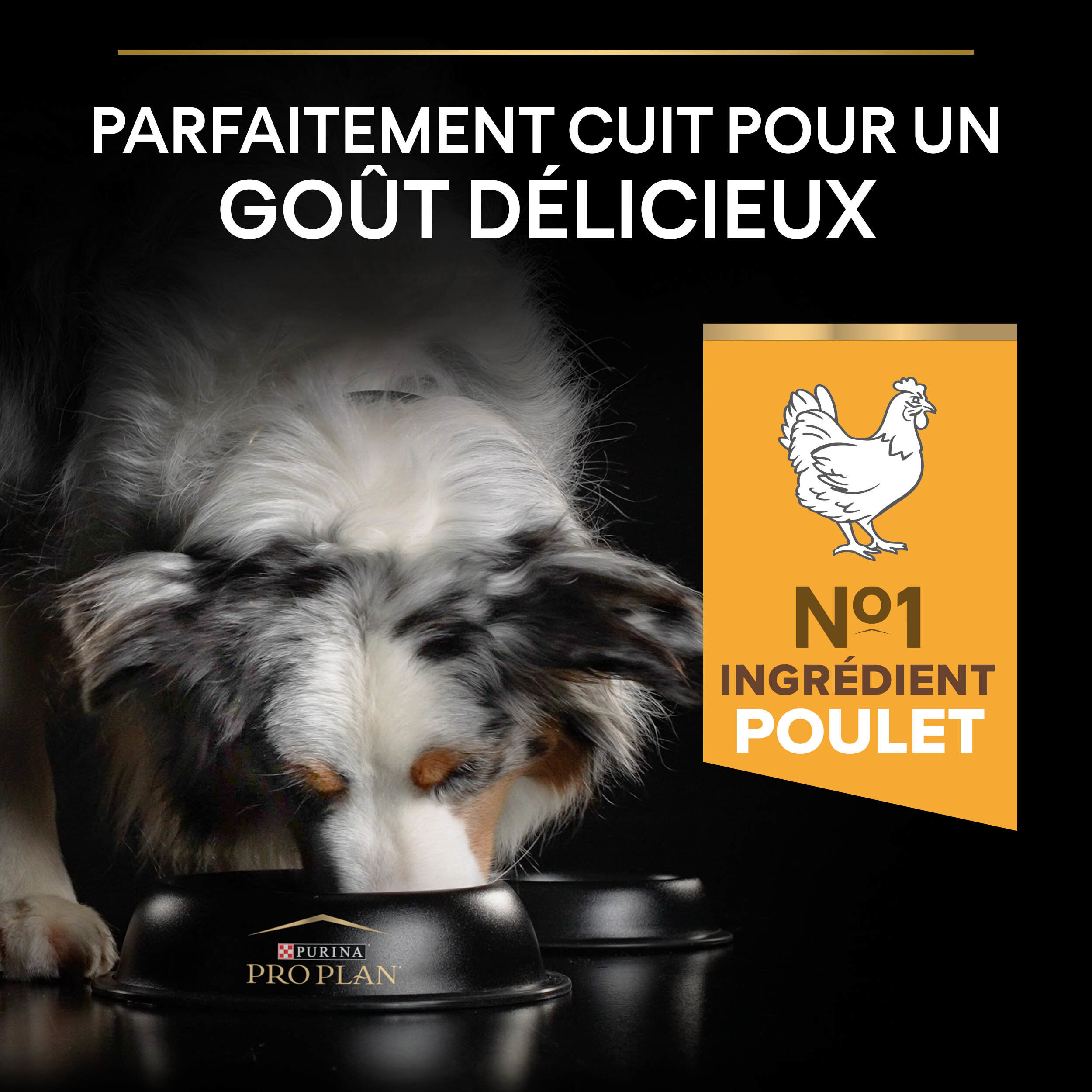 Pro Plan - Croquettes Duo D&eacute;lice Adult au Poulet pour Chien Adulte - 10Kg Image num&eacute;ro 5