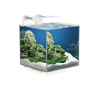 Ciano - Aquarium Nexus LED 15 - Blanc