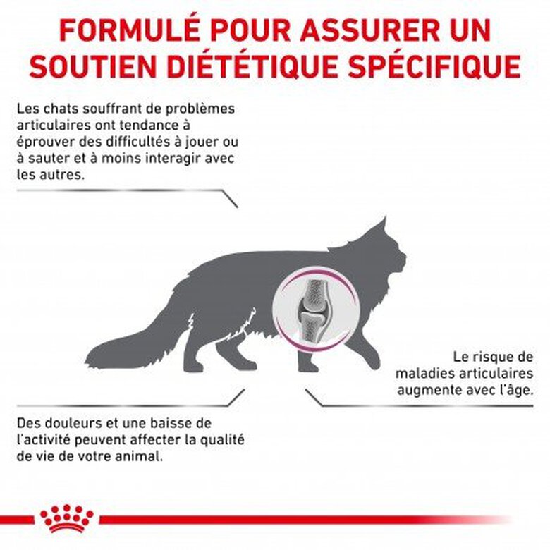 Royal Canin - Croquettes Veterinary Diet Mobility pour Chat - 2Kg Image numéro 2 Royal Canin - Croquettes Veterinary Diet Mobility pour Chat - 2Kg Image numéro 2