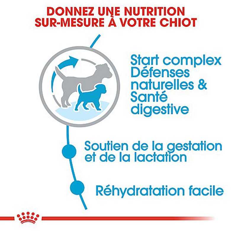 Royal Canin - Croquettes Mini Starter Mother & Babydog pour Chiot - 3Kg image number null