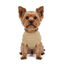 Gotoo - Pull Torsades Beige pour Chiens - 20cm Indicateur image num&eacute;ro 9