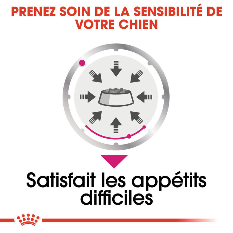 Royal Canin - Pâtée Exigent en Mousse pour Chien - 12x85g Image numéro 6 Royal Canin - Pâtée Exigent en Mousse pour Chien - 12x85g Image numéro 6