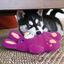 KONG - Jouet Peluche Snuzzles Lapin pour Chiens Indicateur image numéro 4