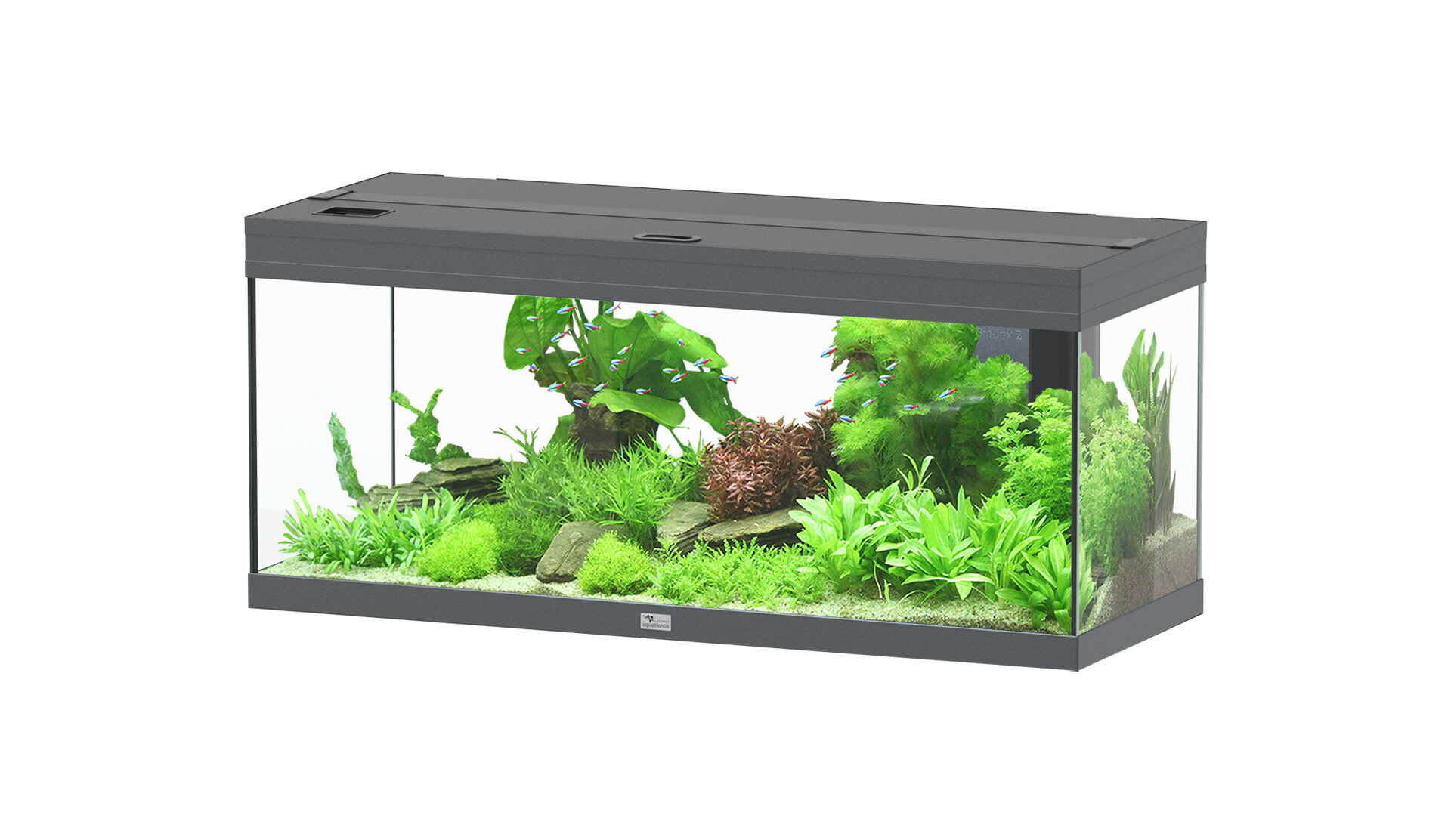 Aquatlantis - Aquarium Prestige 100 - Gris Anthracite Led 2.0 EQP Image num&eacute;ro 1