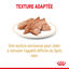 Royal Canin - Sachets Spitz Adult en Mousse pour Chien - 12x85g Indicateur image numéro 4