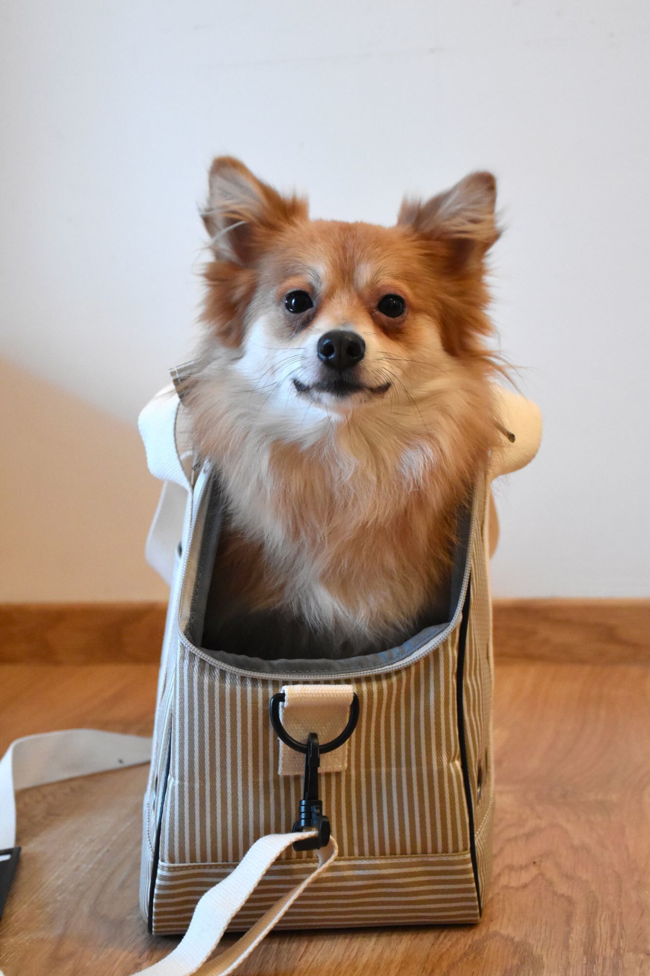 Bobby - Sac de Transport Tennis Beige pour Chiens et Chats - 45cm Image num&eacute;ro 7