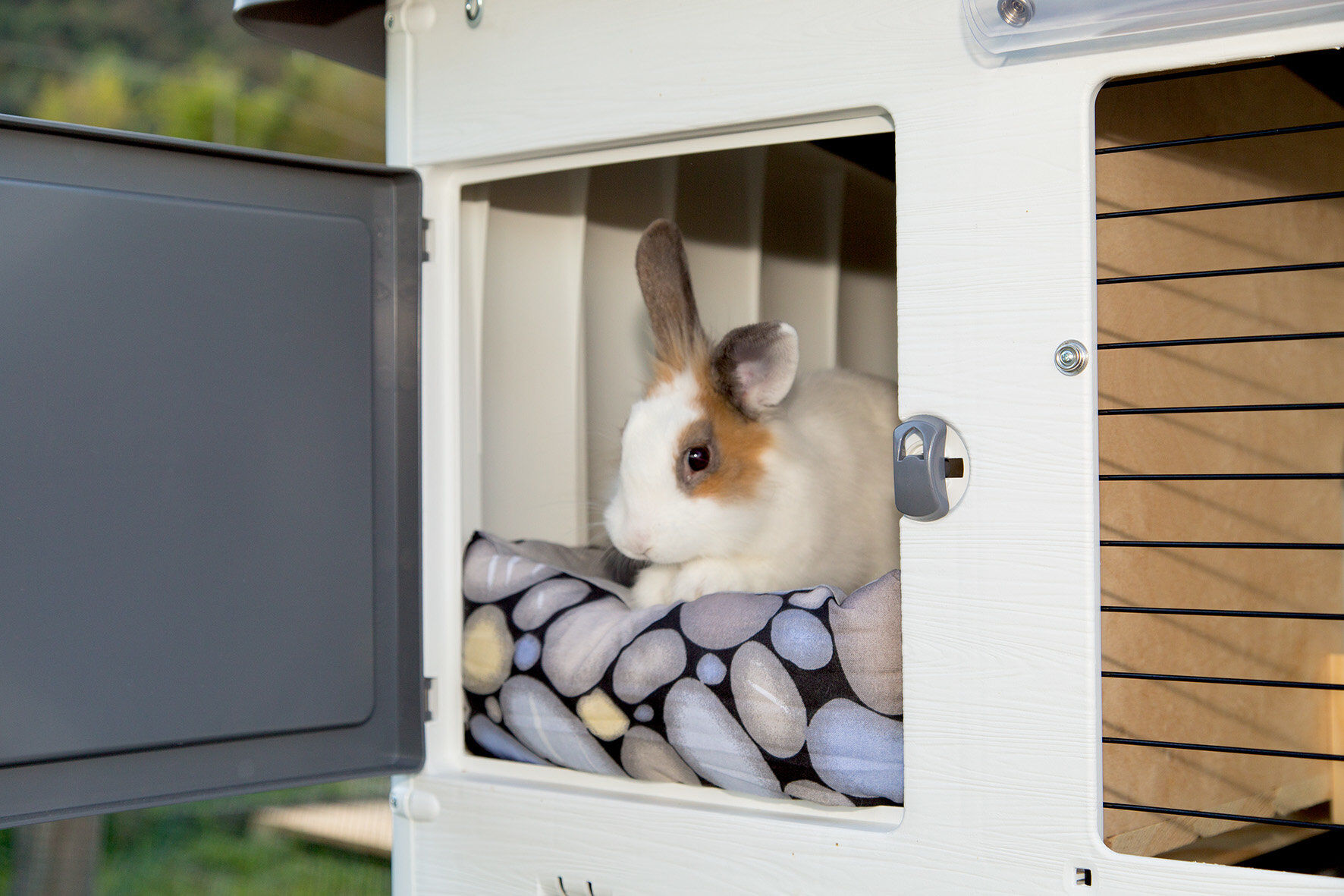 Ferplast - Clapier Grand Lodge Plus pour Rongeurs - 120 Image num&eacute;ro 5