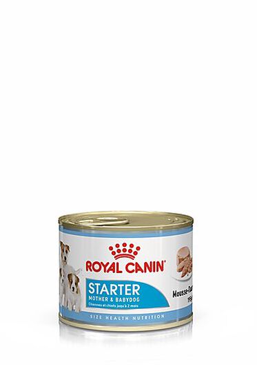 Royal Canin - Boîte Starter Mousse Mother & Babydog en Patée pour Chien - 195g image number null