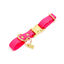 Pop Dog - Collier Glouton Rose pour Chien - S Indicateur image numéro 1