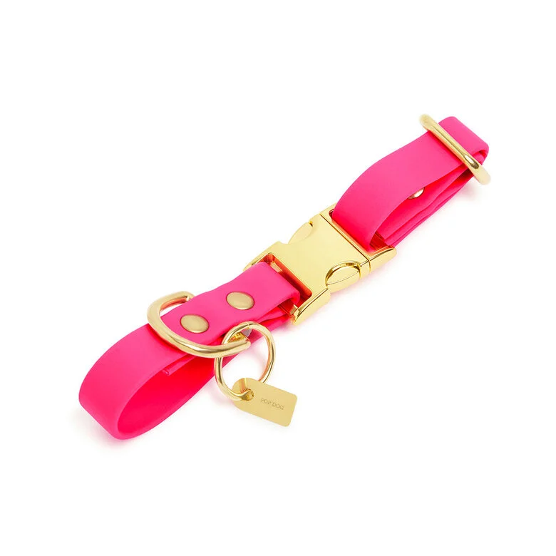Pop Dog - Collier Glouton Rose pour Chien - S Image numéro 1 Pop Dog - Collier Glouton Rose pour Chien - S Image numéro 1