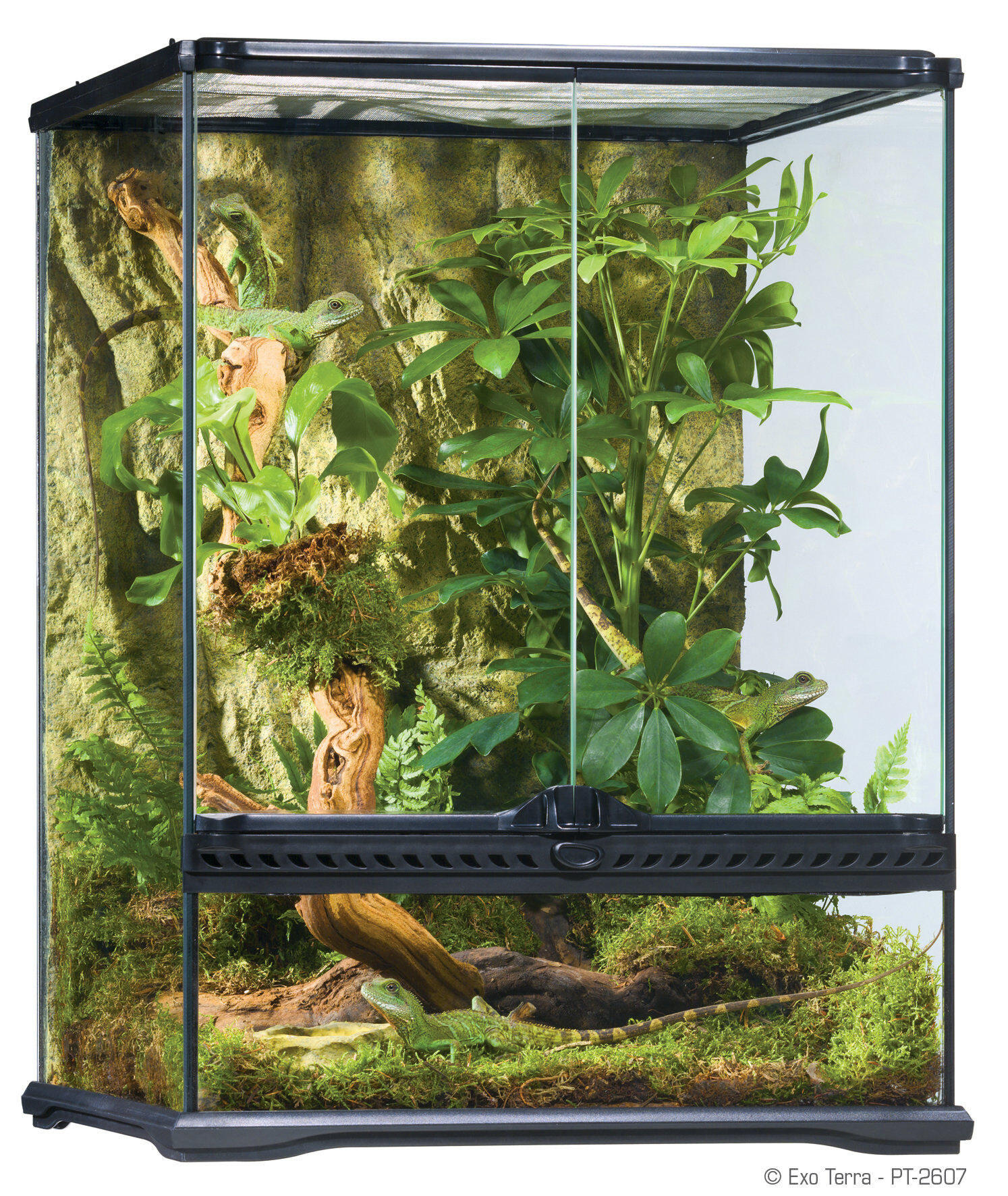 Exo Terra - Terrarium en Verre pour Reptile - 45x45x60cm Image num&eacute;ro 1