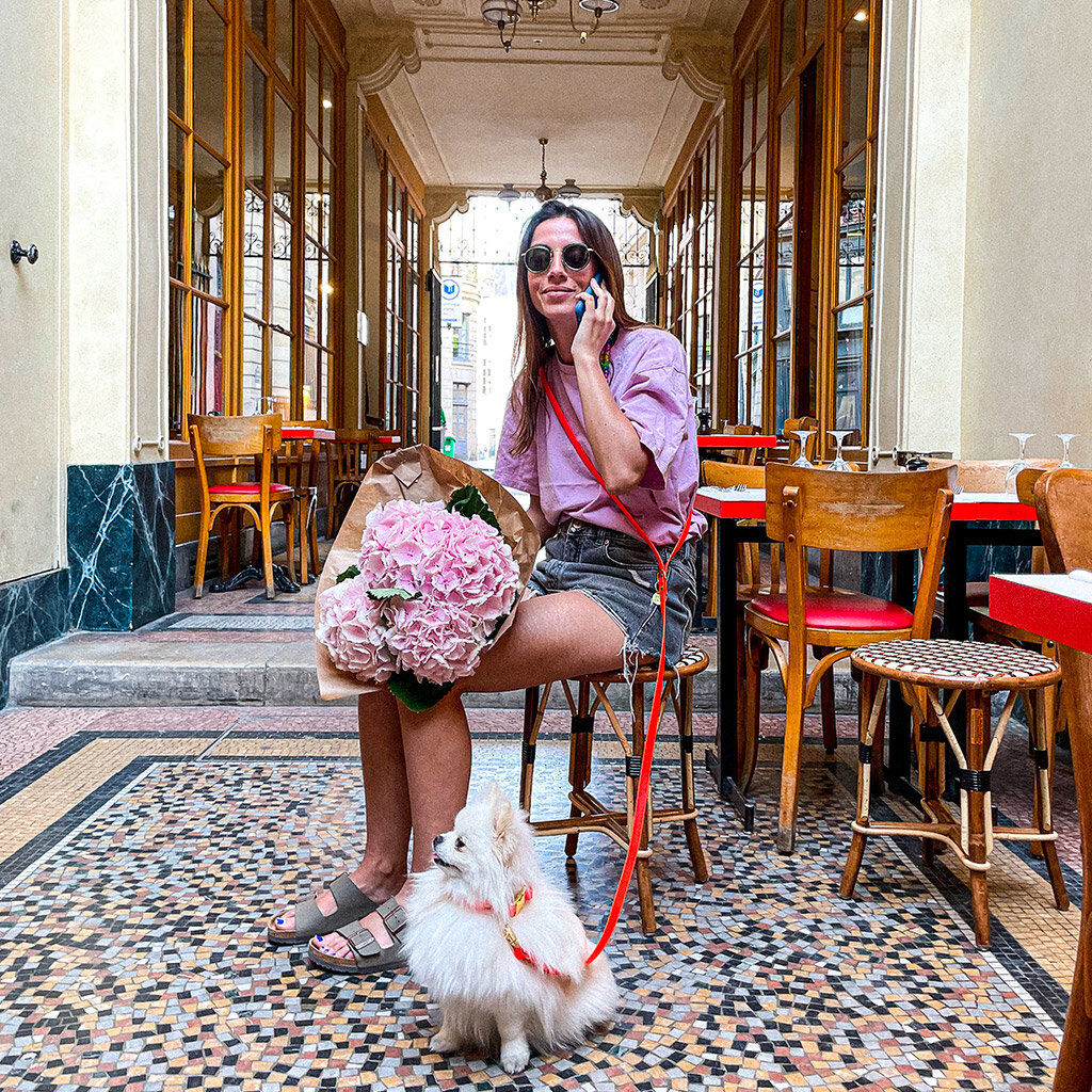 Pop Dog - Laisse Bandouli&egrave;re Foufou Orange pour Chien - XS/S Image num&eacute;ro 3