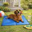 Summer Vibes -Tapis Rafraichissant Bleu pour Chiens - S Indicateur image num&eacute;ro 6