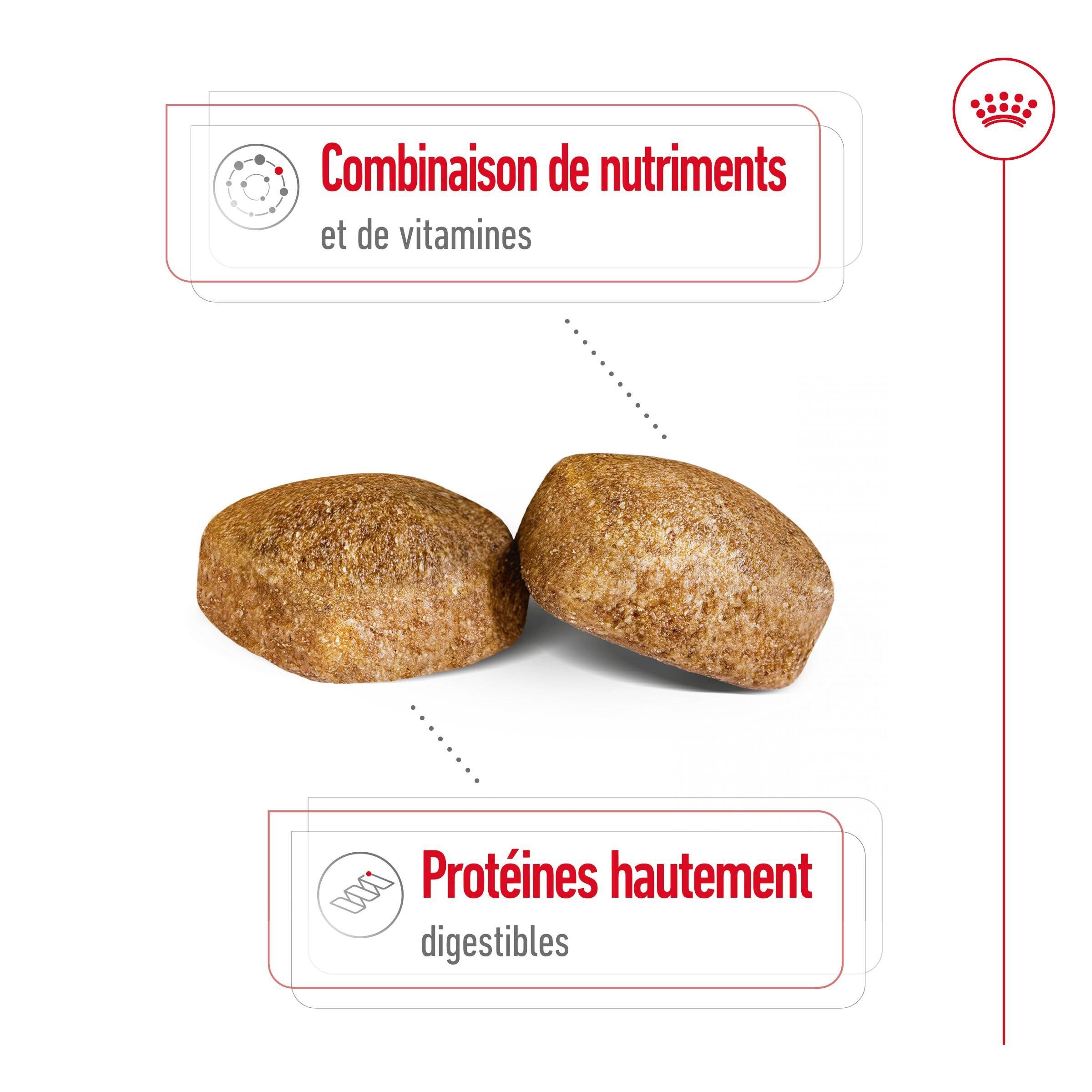 Royal Canin - Croquettes Giant Adult &agrave; Partir de 18/24 mois pour Chien - 15Kg Image num&eacute;ro 4