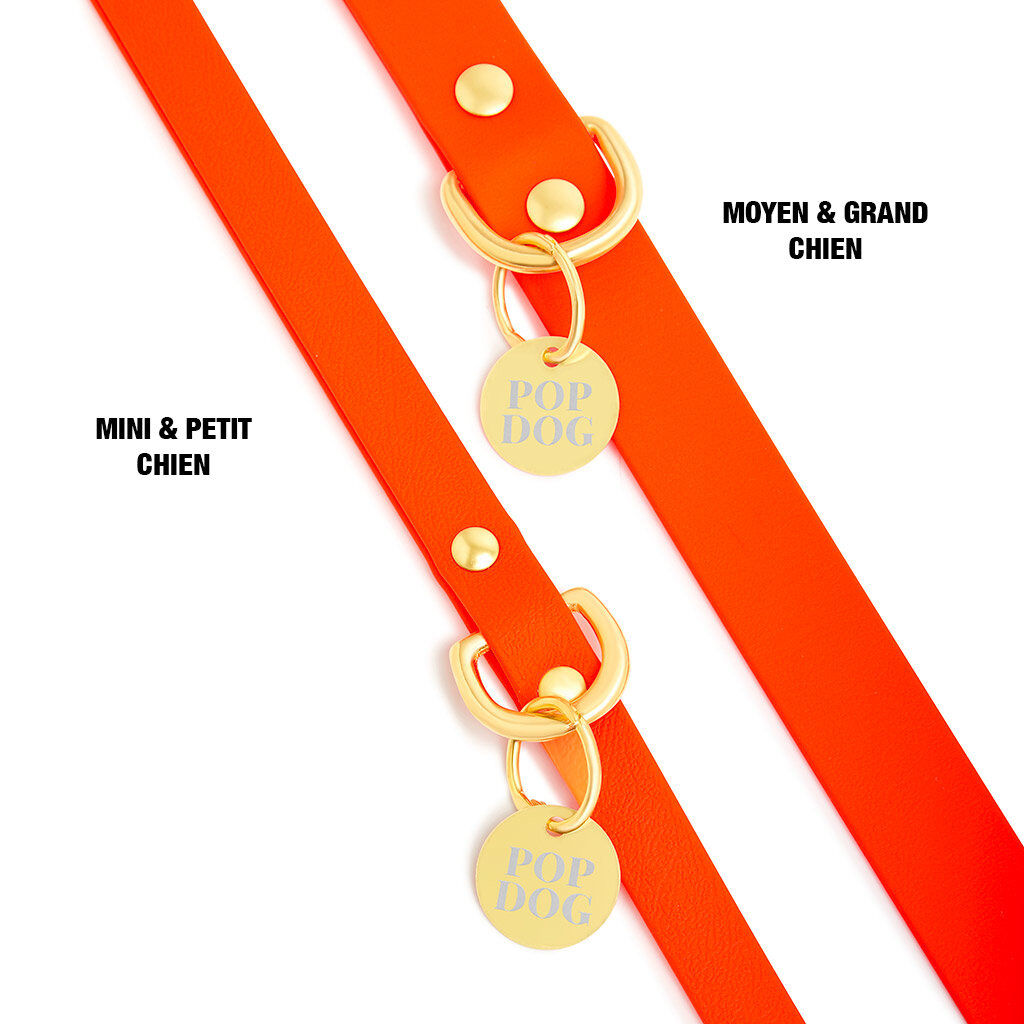 Pop Dog - Laisse Bandouli&egrave;re Foufou Orange pour Chien - XS/S Image num&eacute;ro 2