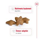 Royal Canin - Croquettes Mini Adult - 800g image number null
