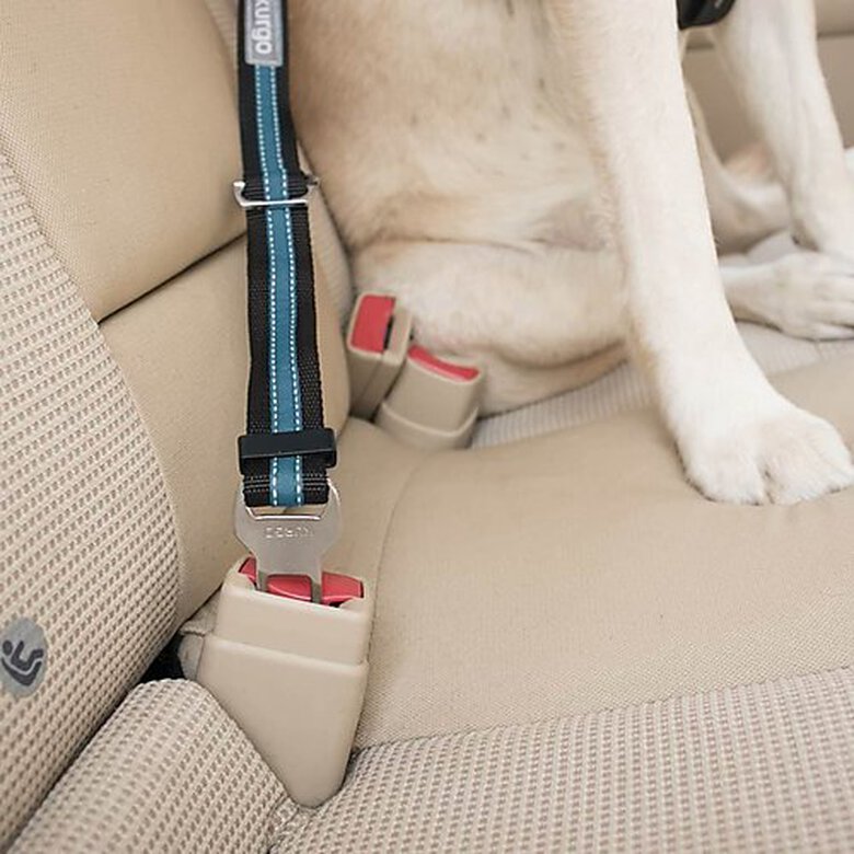 Kurgo - Attache Sécurité Direct Seat-belt Voiture pour Chien - Bleu image number null