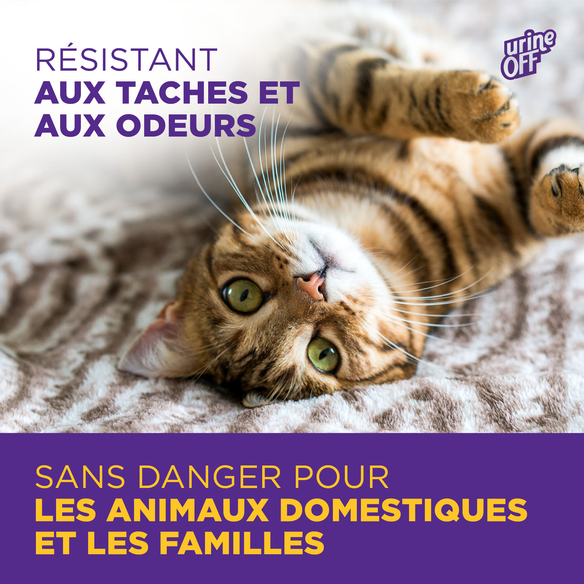 Urine Off - Destructeur Biotec Urine Off Chat - 500ml Image num&eacute;ro 5