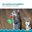 Outward Hound - Jouet à Mâcher Dental Cherries pour Chats Indicateur image numéro 3