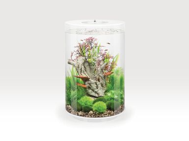 biOrb - Aquarium Tube 30 mcr blanc