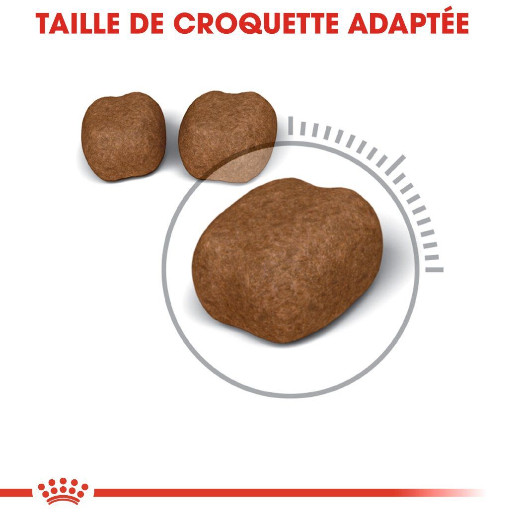 Royal Canin - Croquettes Dental Sensitive Care pour Chat - 1,5Kg Image num&eacute;ro 4