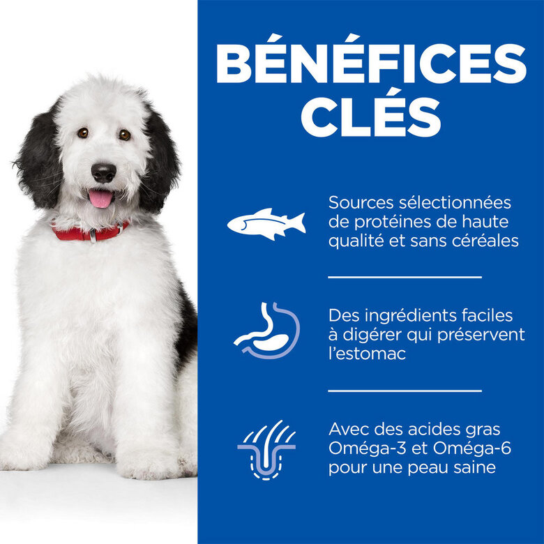 Hill's Science Plan - Hypoallergenic Adult Croquettes Pour Chien Adulte De Grande Taille Saumon -12kg Image numéro 3 Hill's Science Plan - Hypoallergenic Adult Croquettes Pour Chien Adulte De Grande Taille Saumon -12kg Image numéro 3