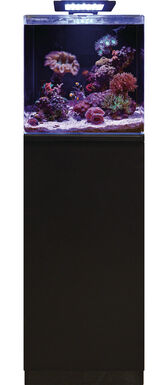 Blue Marine - Meuble Reef 90 Noir - 50x45x86cm