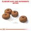 Royal Canin - Croquettes Maxi Sterilised pour Chien Adulte Stérilisé - 3Kg Indicateur image numéro 5