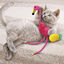 KONG - Jouet Tropics Flamant Rose pour Chats - 29cm Indicateur image numéro 3