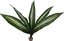 Labeo - Plante Verte Décorative pour Terrarium - GM Indicateur image numéro 1