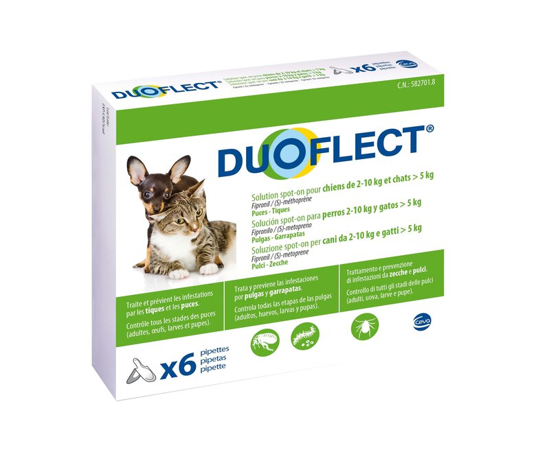 Duoflect - Pipettes Antiparasitaire de 2 à 10Kg pour Chien et Chat - x6 Image numéro 1 Duoflect - Pipettes Antiparasitaire de 2 à 10Kg pour Chien et Chat - x6 Image numéro 1