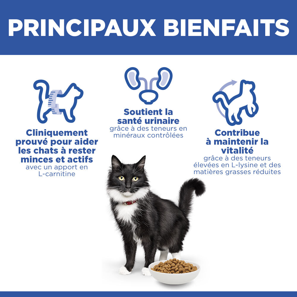 Hill's Science Plan - Mature Adult Sterilised Cat Croquettes Pour Chat Ag&eacute; St&eacute;rilis&eacute; Au Poulet - 3kg Image num&eacute;ro 8