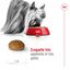 Royal Canin - Croquettes X SMALL ADULT 8+ pour chiens - 3KG Indicateur image numéro 8