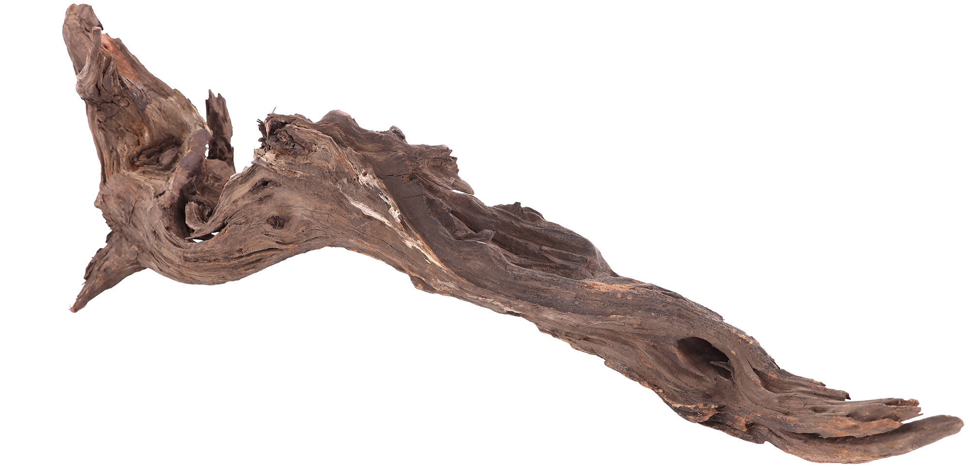 Sera - Rascine Bois Naturel Drift Wood L Image num&eacute;ro 1