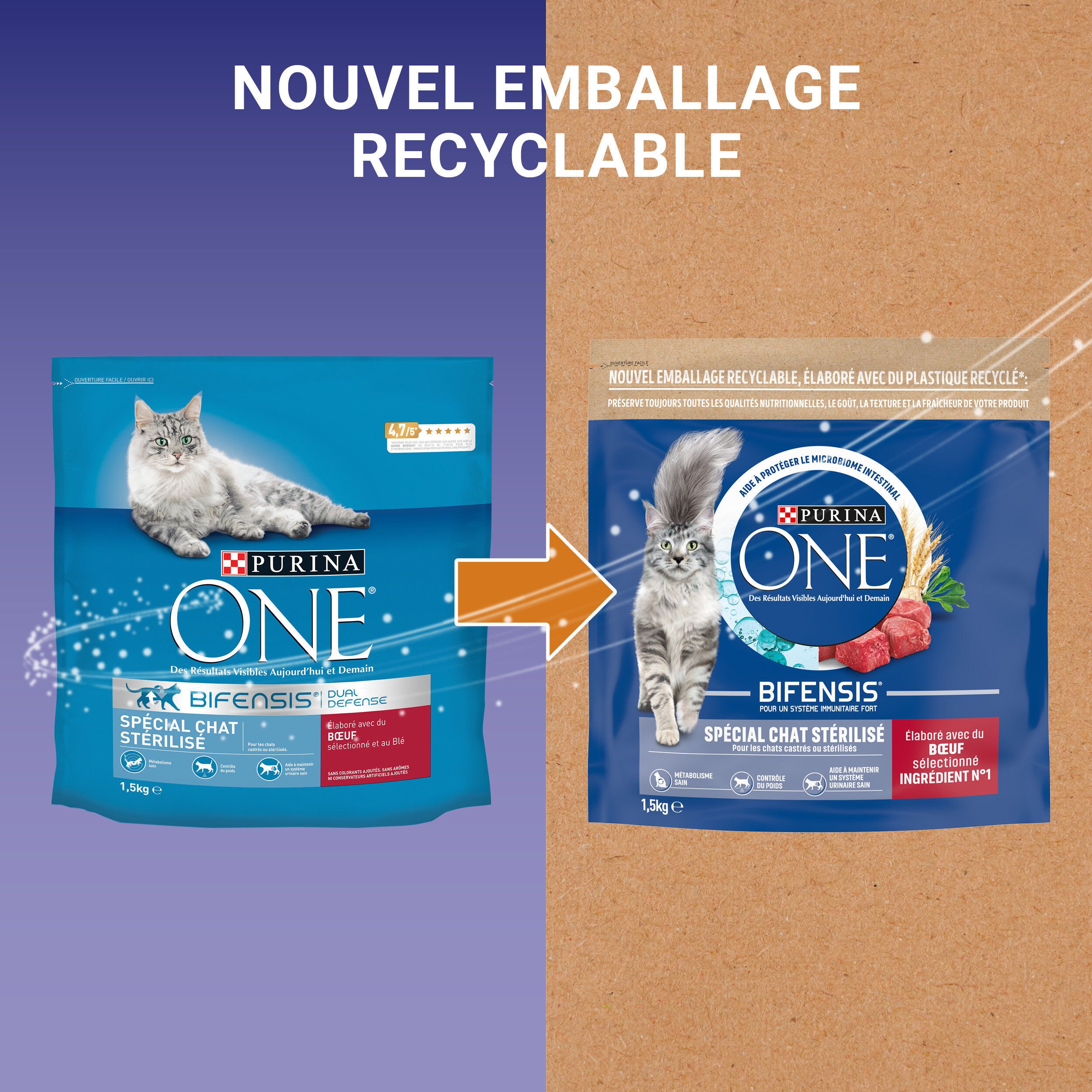Purina One - Croquettes au B&oelig;uf et Bl&eacute; pour Chat Adulte St&eacute;rilis&eacute; - 1,5Kg Image num&eacute;ro 3