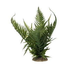 Terradella - D&eacute;coration Plante Foug&egrave;re pour Terrarium
