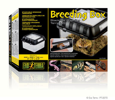 Exo Terra - Terrarium Breeding Box S pour Reptiles - 20x20x15cm