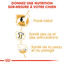 Royal Canin - Croquettes Labrador Adult pour Chiens de plus de 15 Mois - 3Kg Indicateur image numéro 4