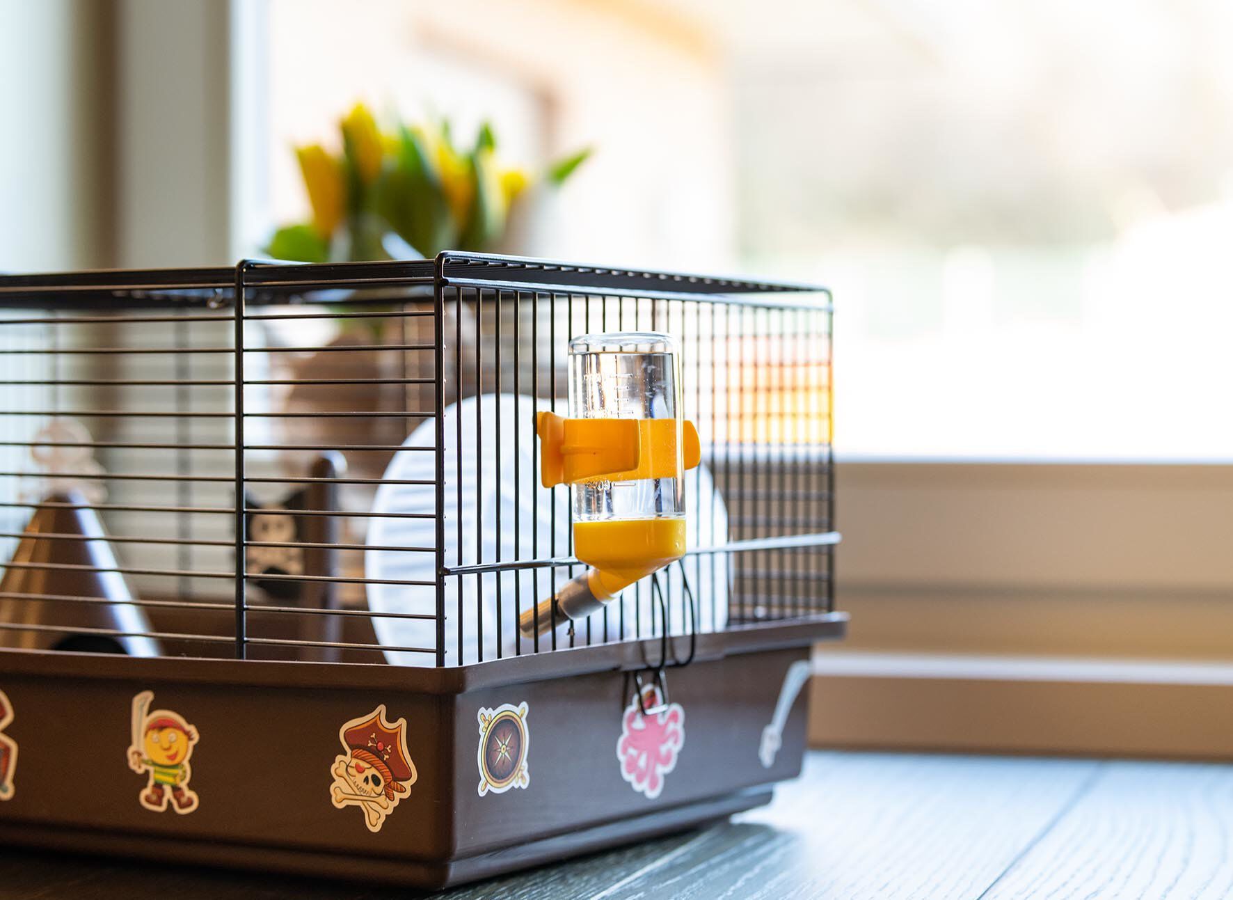 Ferplast - Cage Criceti 9 Pirates pour Hamsters Image num&eacute;ro 7