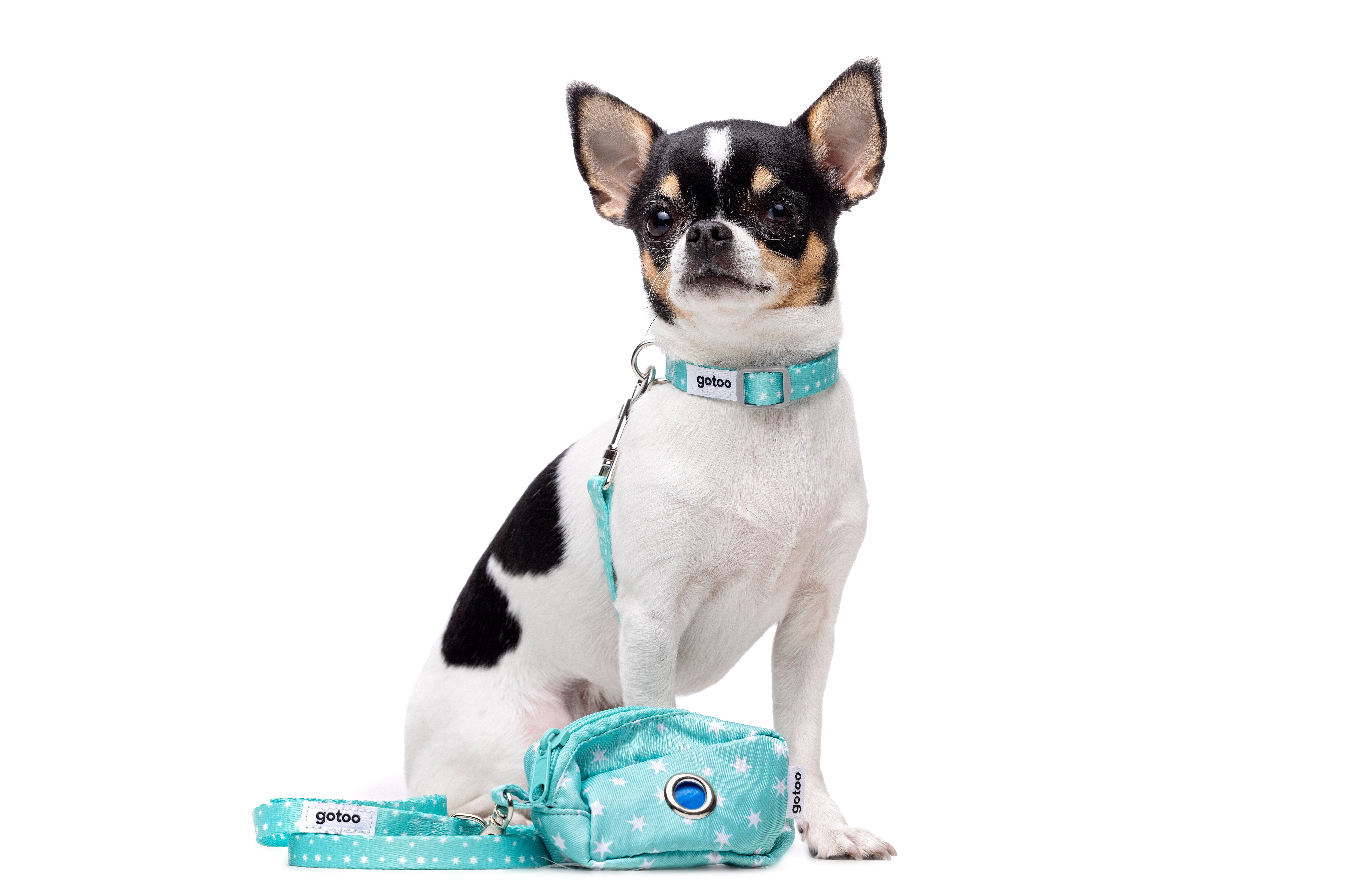 Gotoo - Sac &agrave; Sacs Etoiles Bleu pour Chien Image num&eacute;ro 2