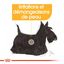 Royal Canin - Croquettes Mini Dermacomfort pour Chien - 2Kg Indicateur image numéro 3
