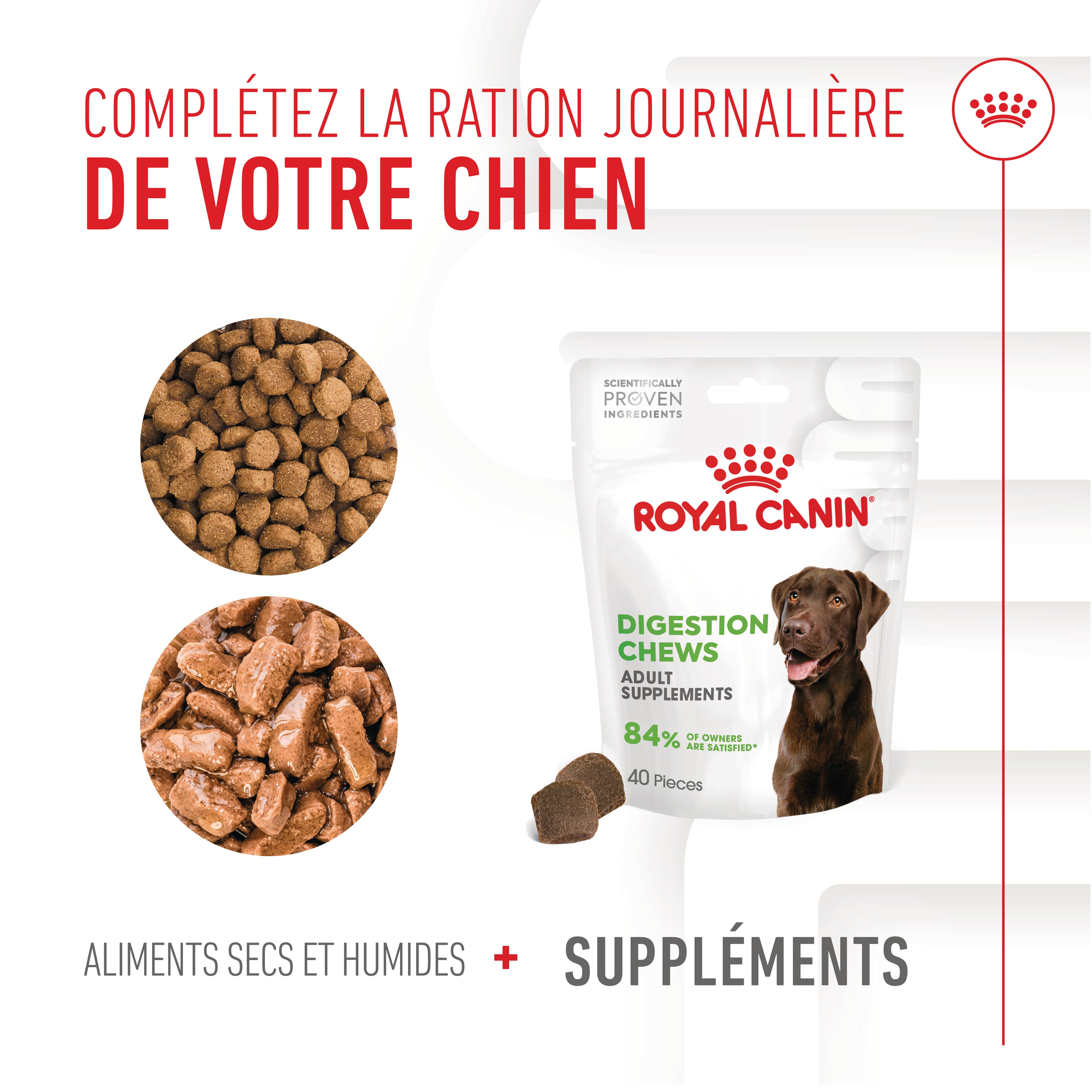 Royal Canin - Aliment Compl&eacute;mentaire Adult Digestion Chews pour Chiens - 160g Image num&eacute;ro 8