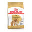 Royal Canin - Croquettes Adult Spitz Nain pour Chien - 1,5Kg Indicateur image numéro 2