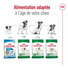 Royal Canin - Croquettes Mini Adult - 8Kg image number null