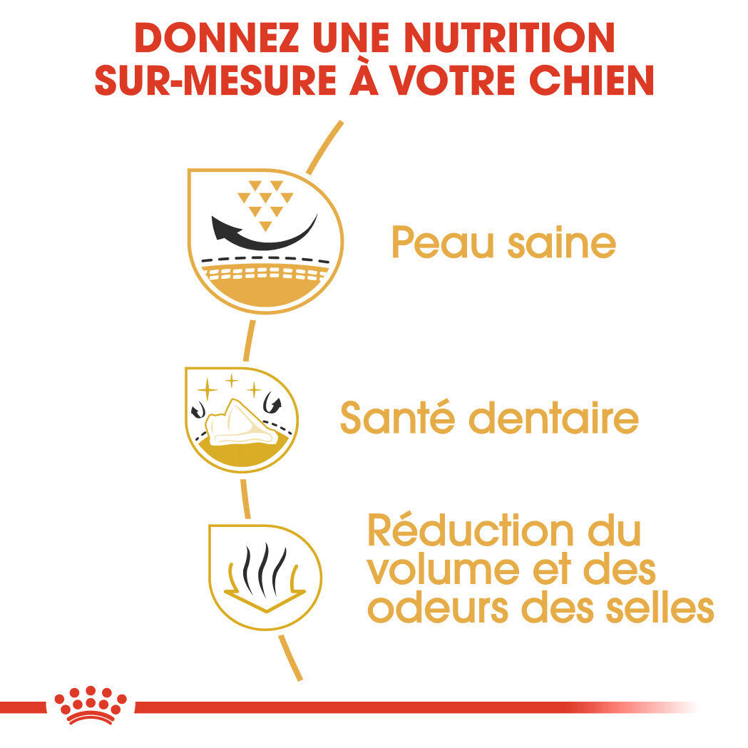 Royal Canin - Croquettes Shih Tzu pour Chien Adulte - 3Kg Image num&eacute;ro 5
