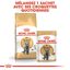 Royal Canin - Croquettes British Shorthair pour Chat Adulte - 2Kg Indicateur image numéro 6
