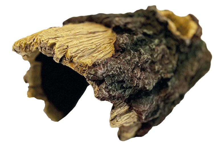 Repto - Arbre Cachette Wood Home L - Réptiles Image numéro 1 Repto - Arbre Cachette Wood Home L - Réptiles Image numéro 1