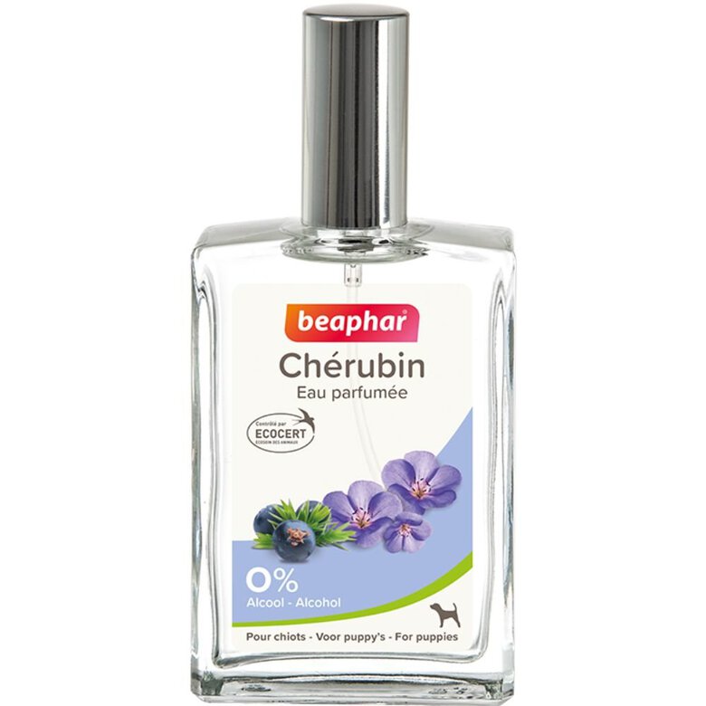 Beaphar - Eau parfumée CHERUBIN  pour chiots - 50ml image number null