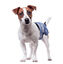 Croci - Couches Jetables Dog Nappy Diaper Jeans  pour Chiens - L 34/48cm Indicateur image num&eacute;ro 2